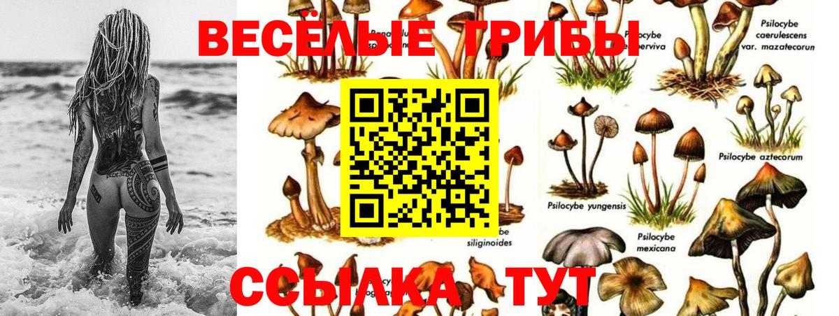 Галлюциногенные грибы ЛСД Псков